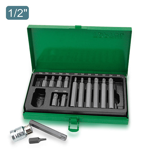 15PCS 1/2" DR. Hex Shank Star Insert Bit Set